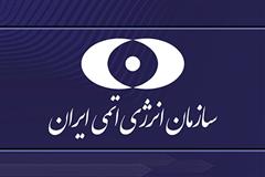 اطلاعیه سازمان انرژی اتمی ایران درباره نفوذ به سرور پست الکترونیک یکی از شرکت‌های تابعه