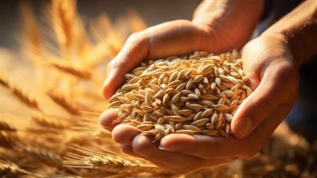 اقدامات آژانس بین‌المللی انرژی اتمی در زمینه غربالگری سریع مواد غذایی